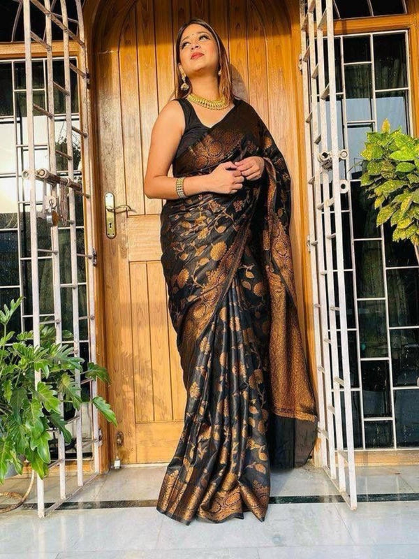 Black Banarasi Silk Saree